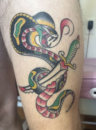 Traditional Cobra, tattoo by Lily Spade, Dawnbringer Tattoo, Kansas City