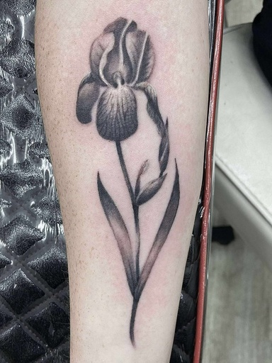 Cat 04 — tattoo by Cat Allwood, Dawnbringer Tattoo, Kansas City